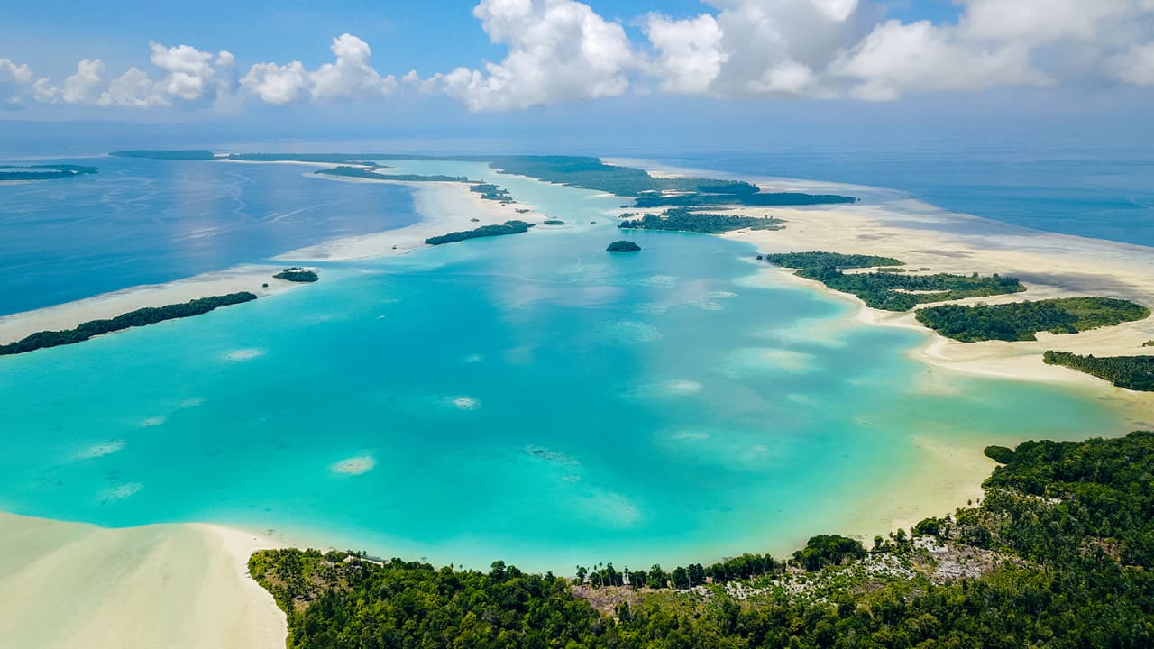 جزيرة السافلية