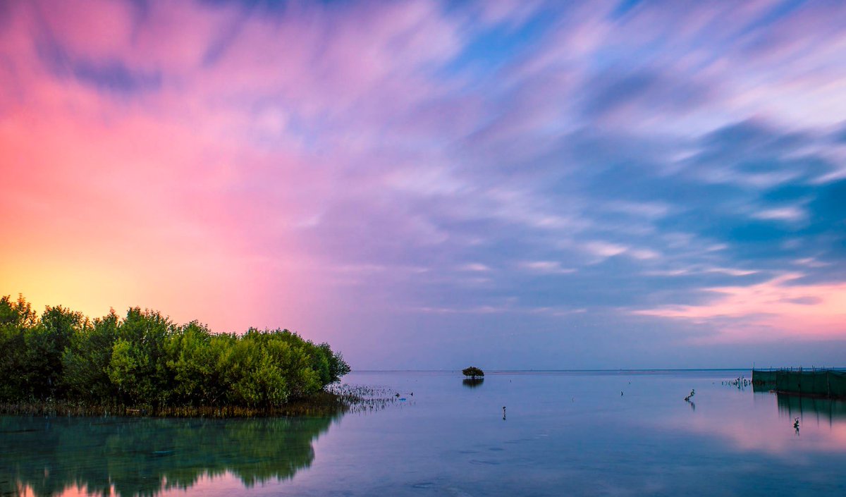 الجزيرة الأرجوانية