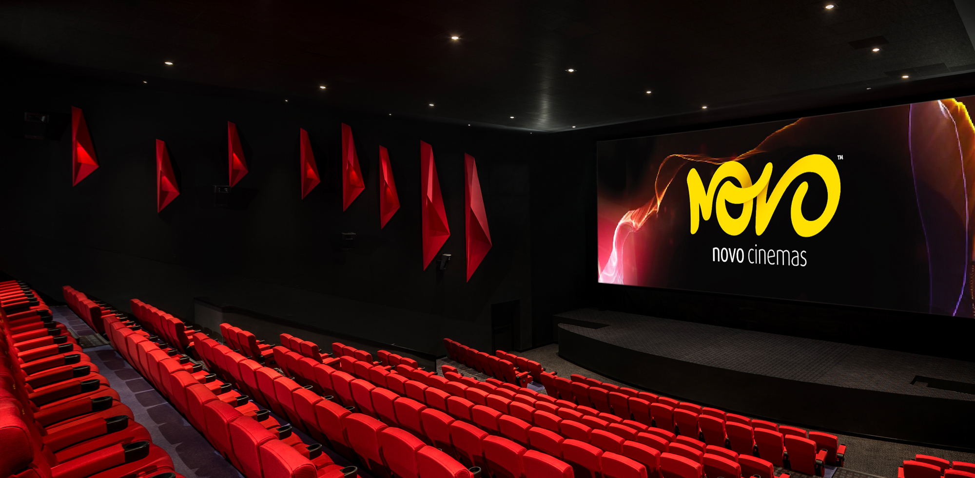 قاعة سينما نوفو 