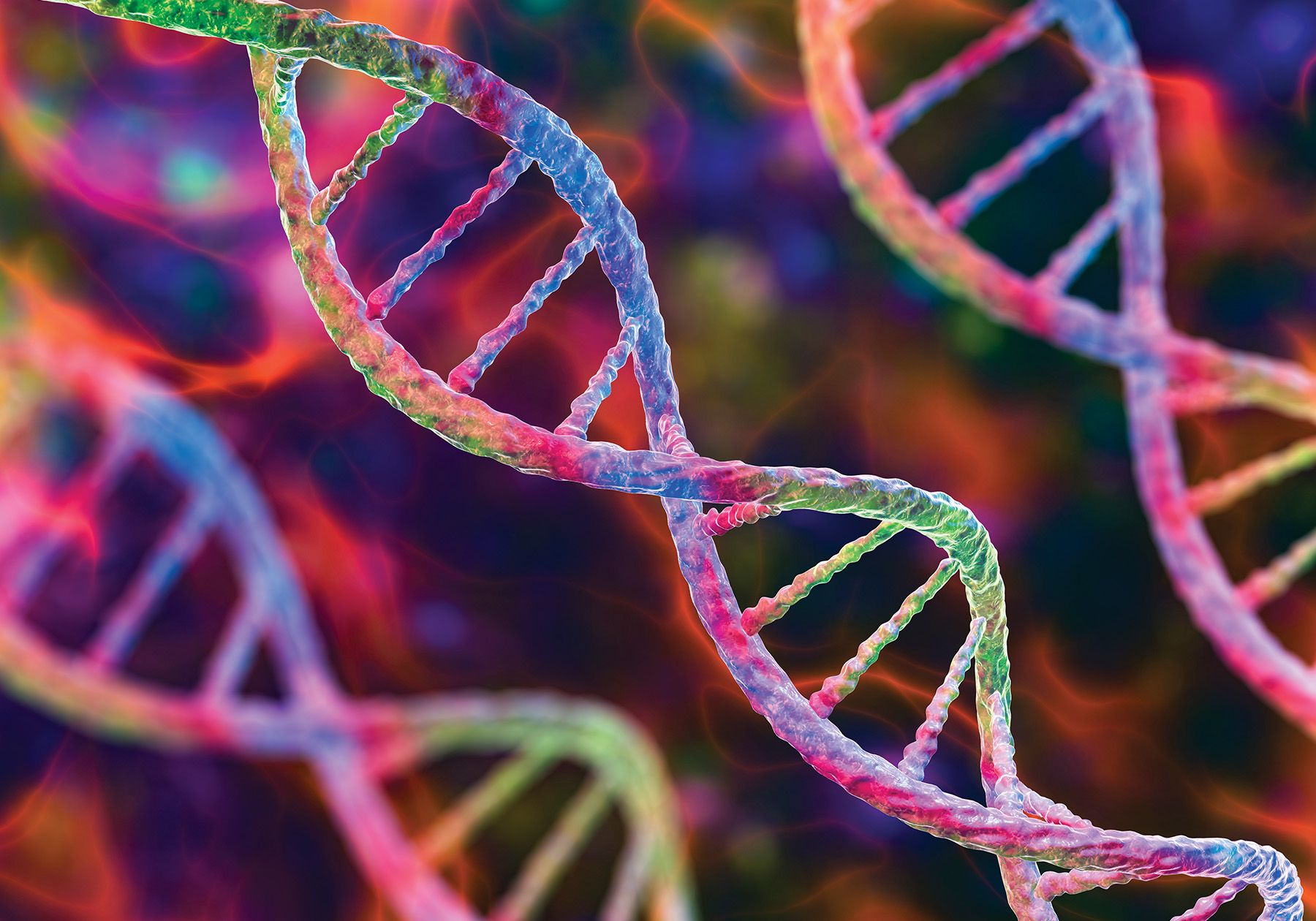 نقل الخبرات القطرية في علم الجينوم