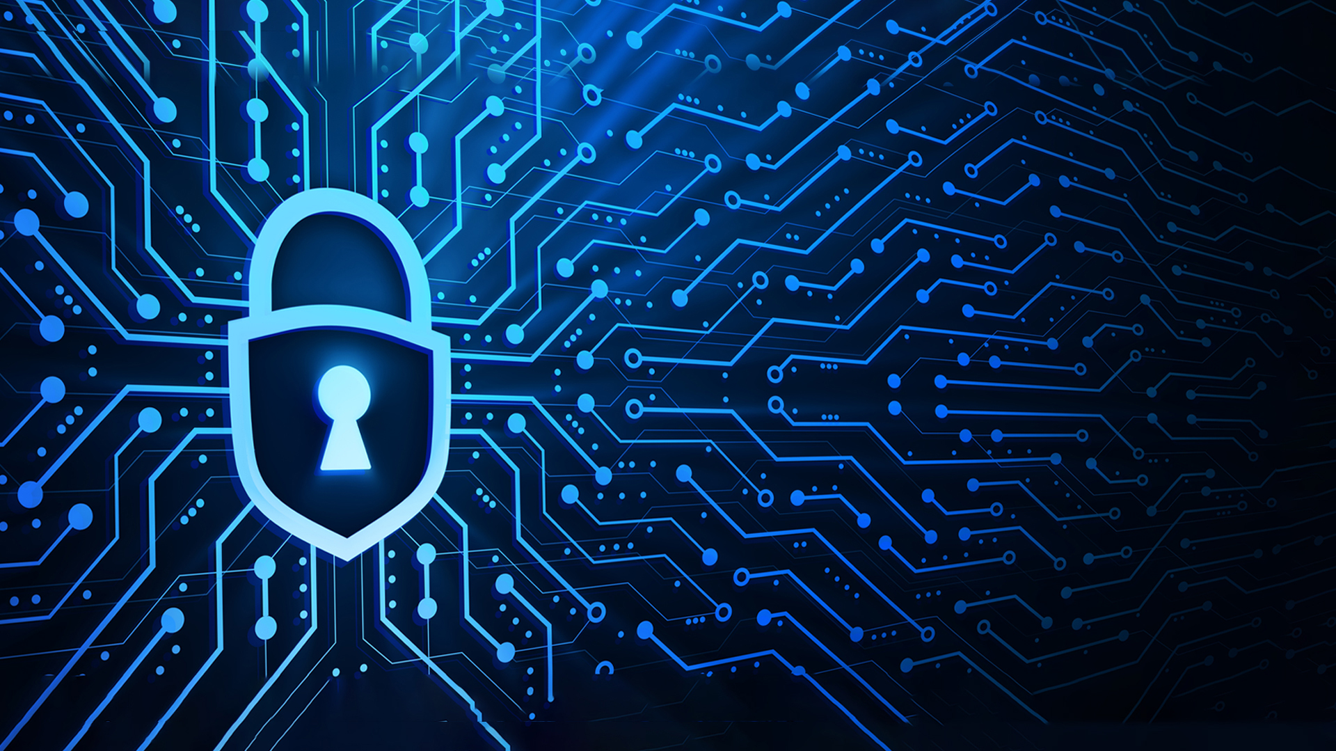 الكويت تنقل التجربة القطرية 