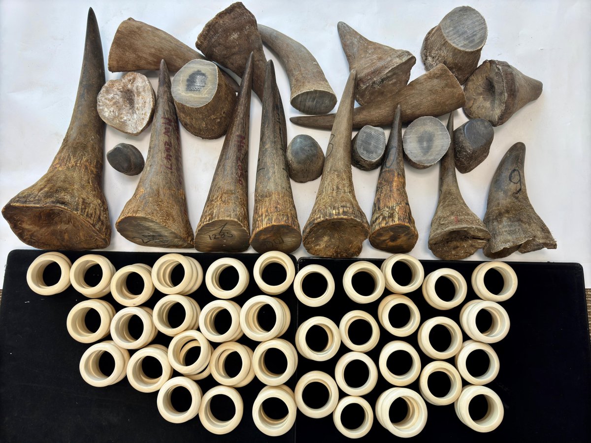 تهريب 120 قطعة من قرون وحيد القرن