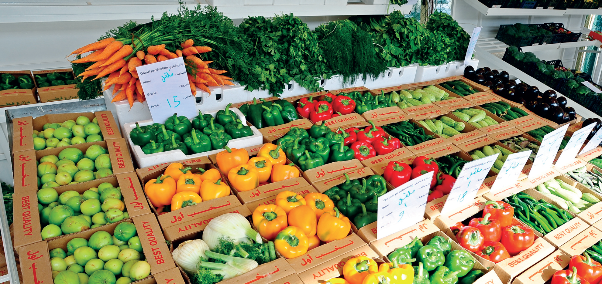 مزارع قطر تلبي 90% من الاستهلاك المحلي