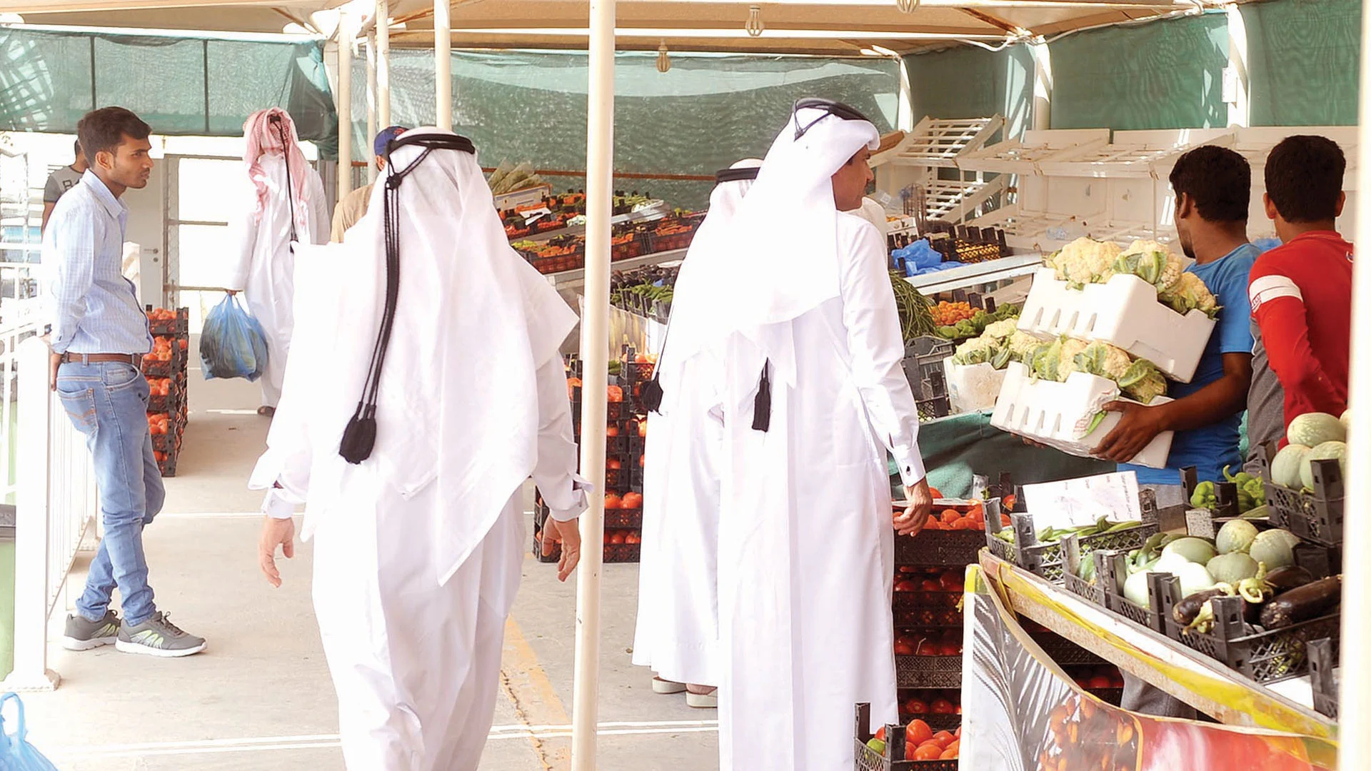 مزارع قطر تلبي 90% من الاستهلاك المحلي