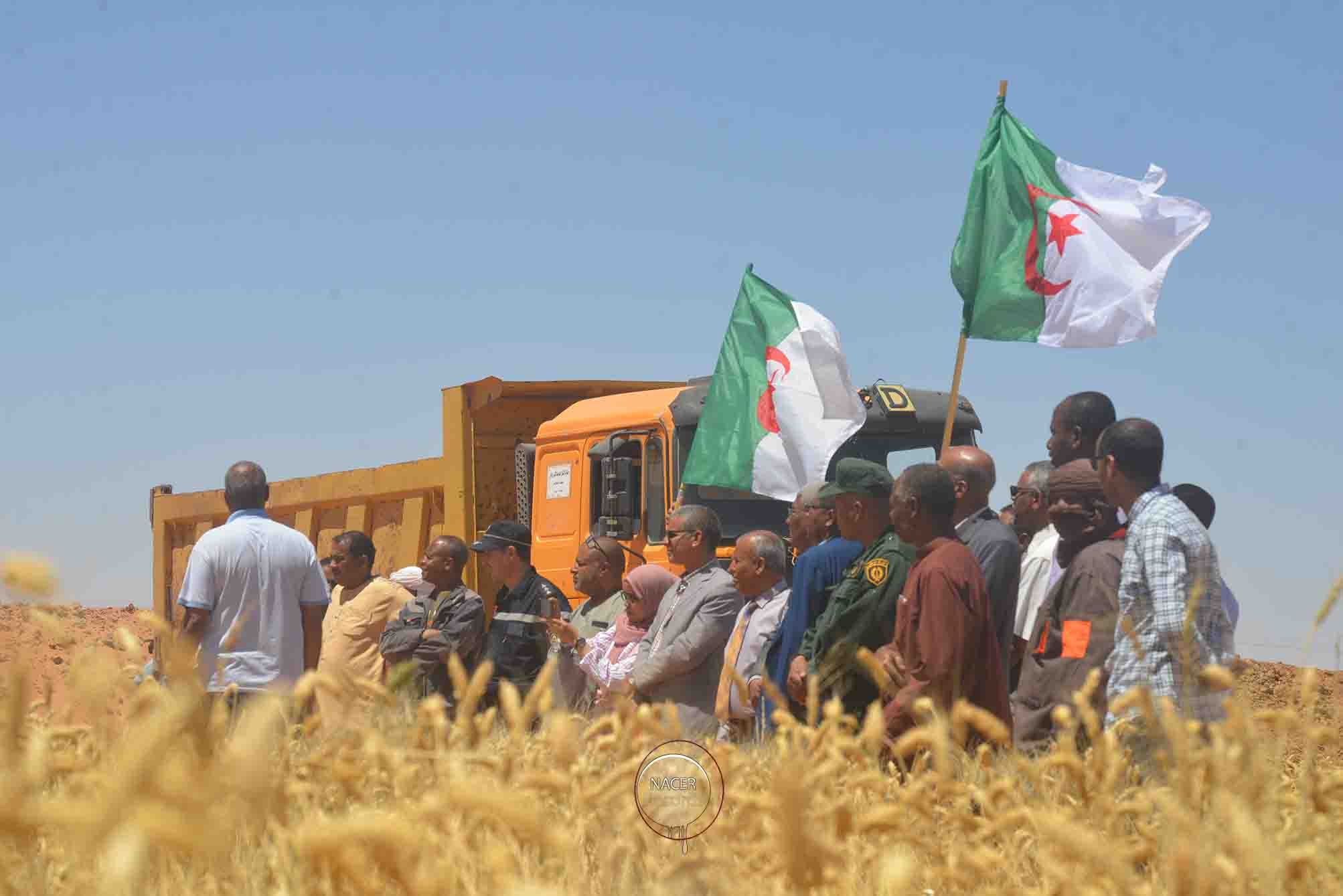 قطر والجزائر