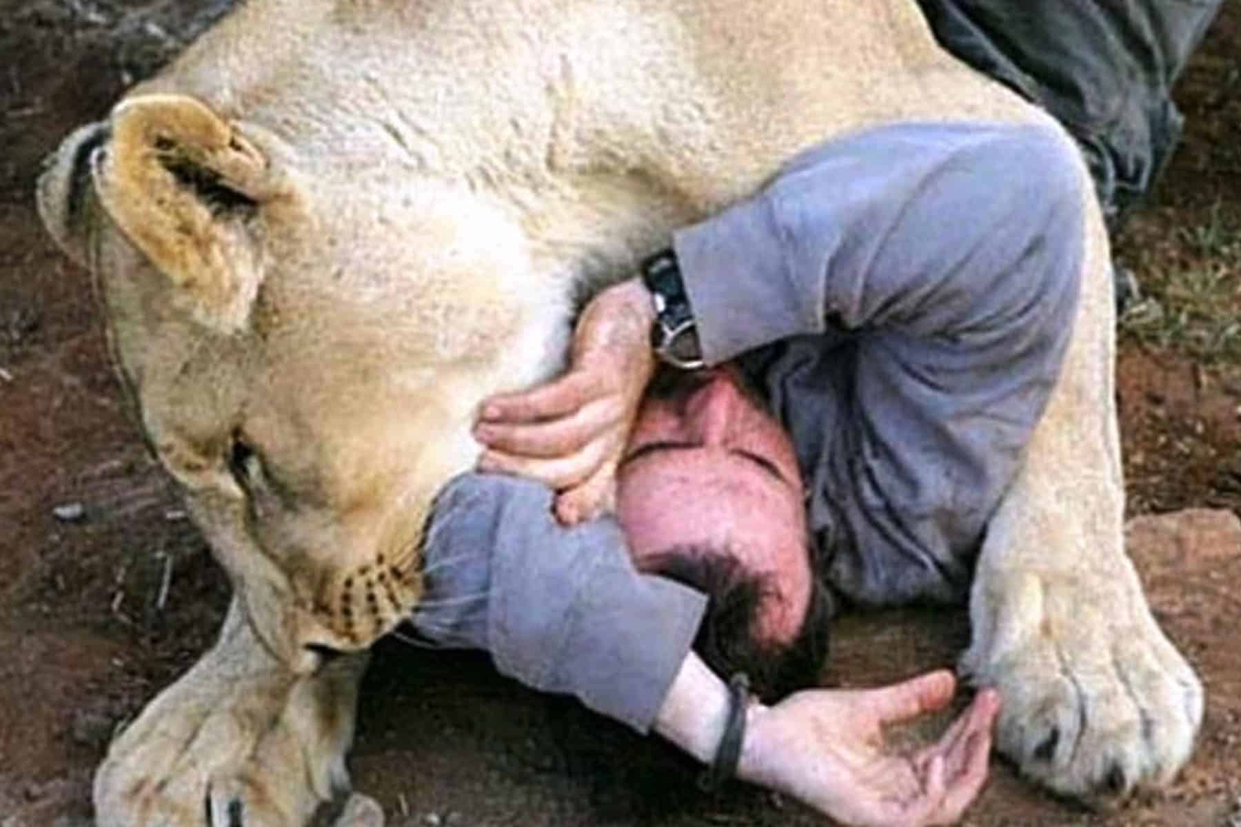 اقتناء الحيوانات الخطرة في قطر