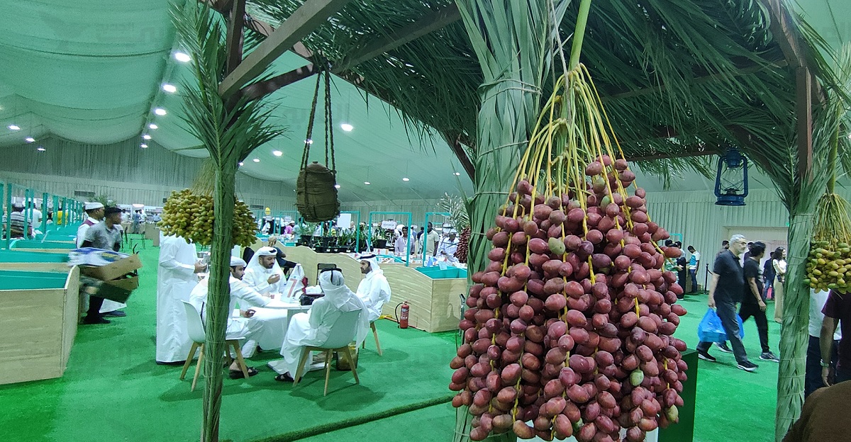أنواع التمور المحلية في قطر وأكبر المزارع