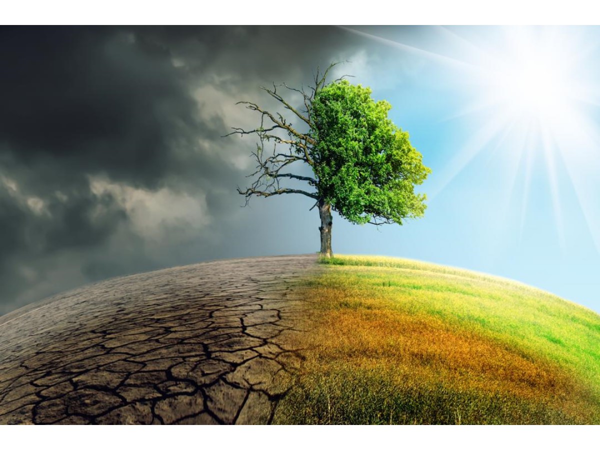 قطر تعرض للعالم تجرتها في مكافحة التصحر