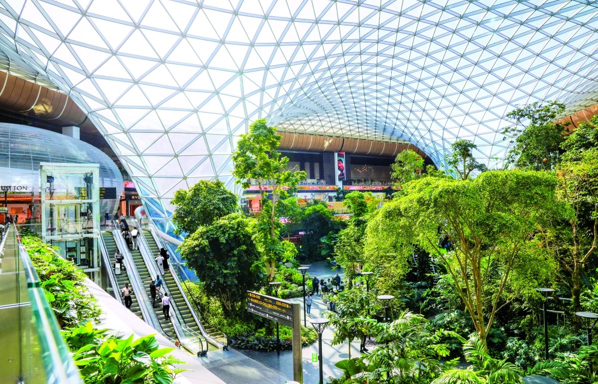 مطار حمد الدولي يحقق إنجازًا جديدا في دعم الاستدامة البيئية