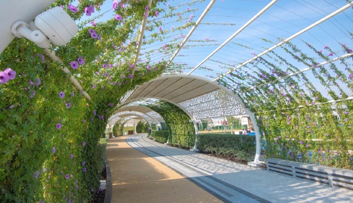 حديقة الغرافة