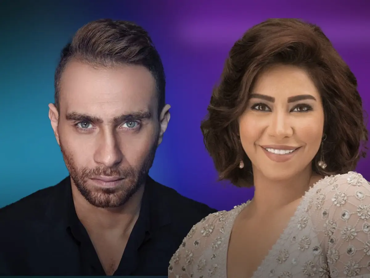 حسام حبيب