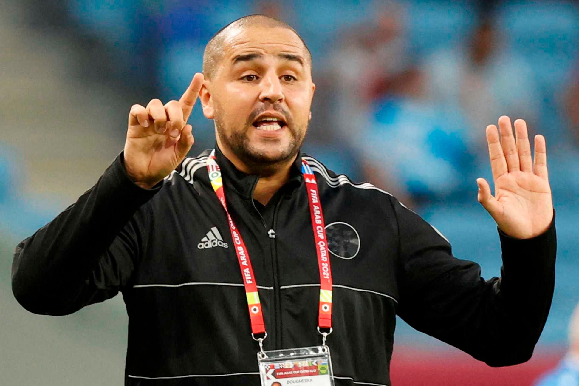 مجيد بوقرة، مدرب المنتخب الجزائري المحلي لكرة القدم