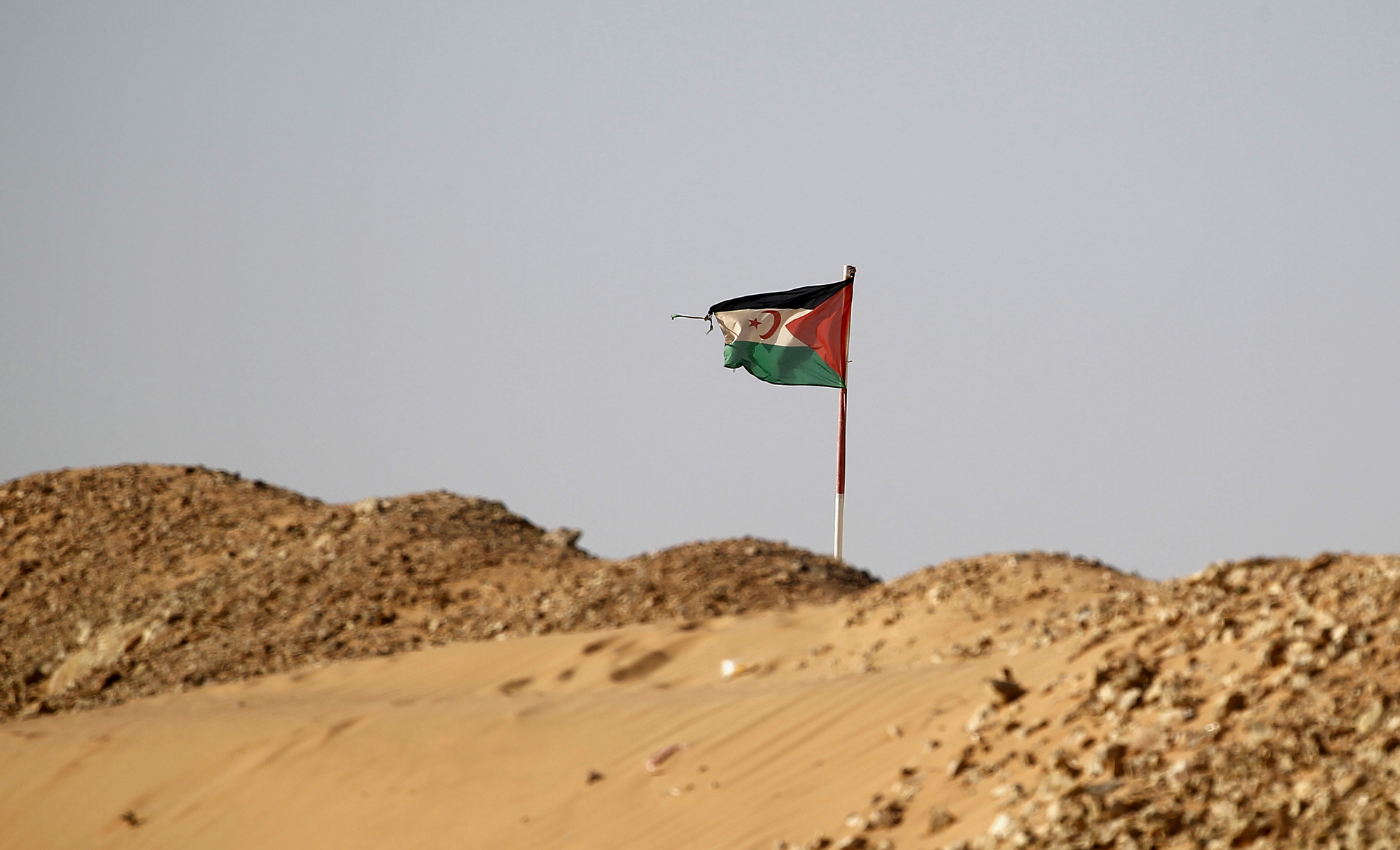 الحكم الذاتي في الصحراء الغربية