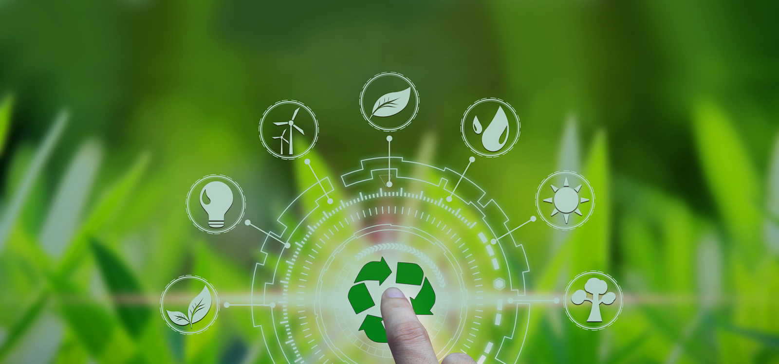 الاقتصاد الدائري في قطر: كيف حولت الدوحة النفايات إلى طاقة وثروة؟