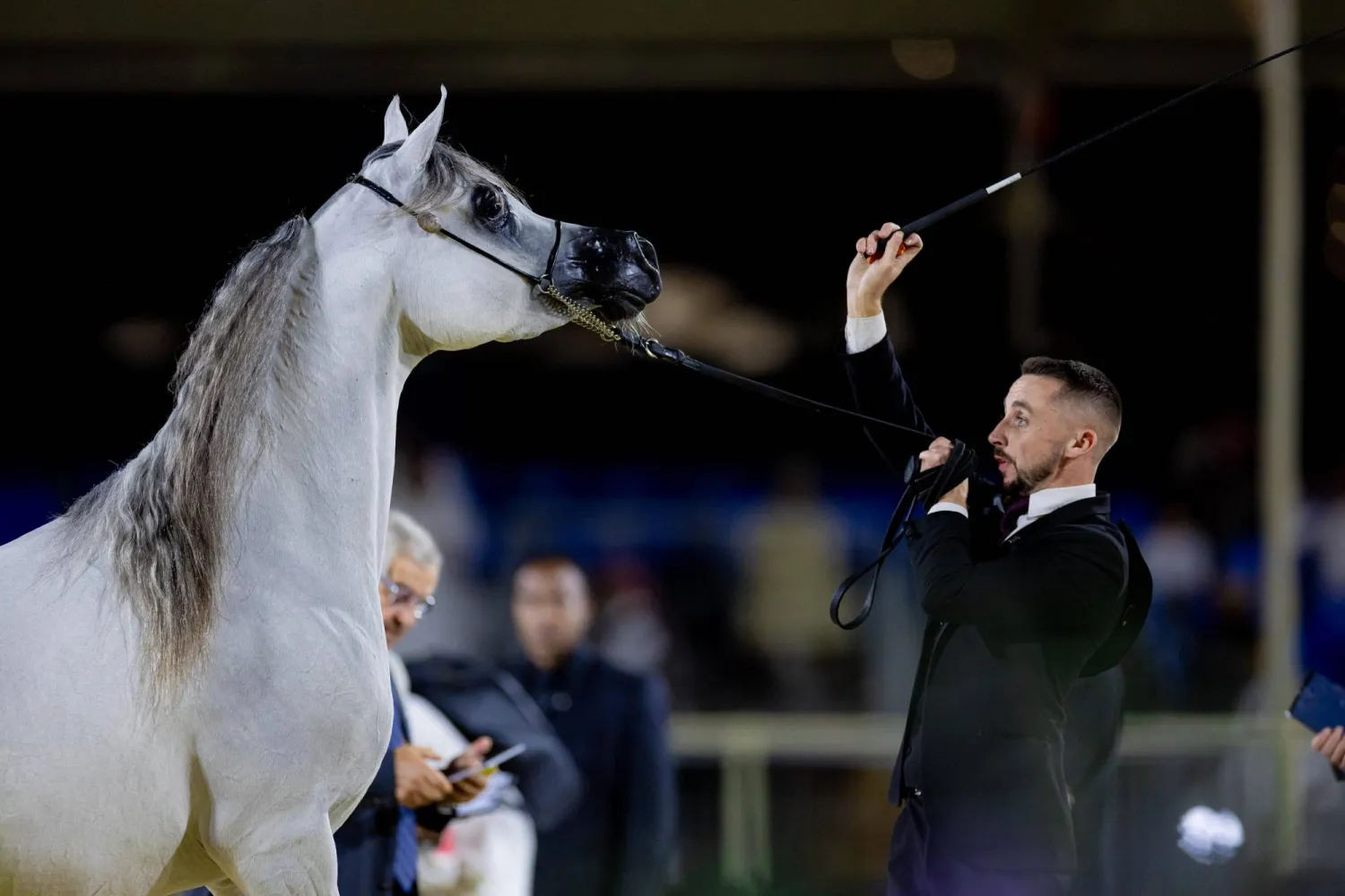 جولة الجياد العربية