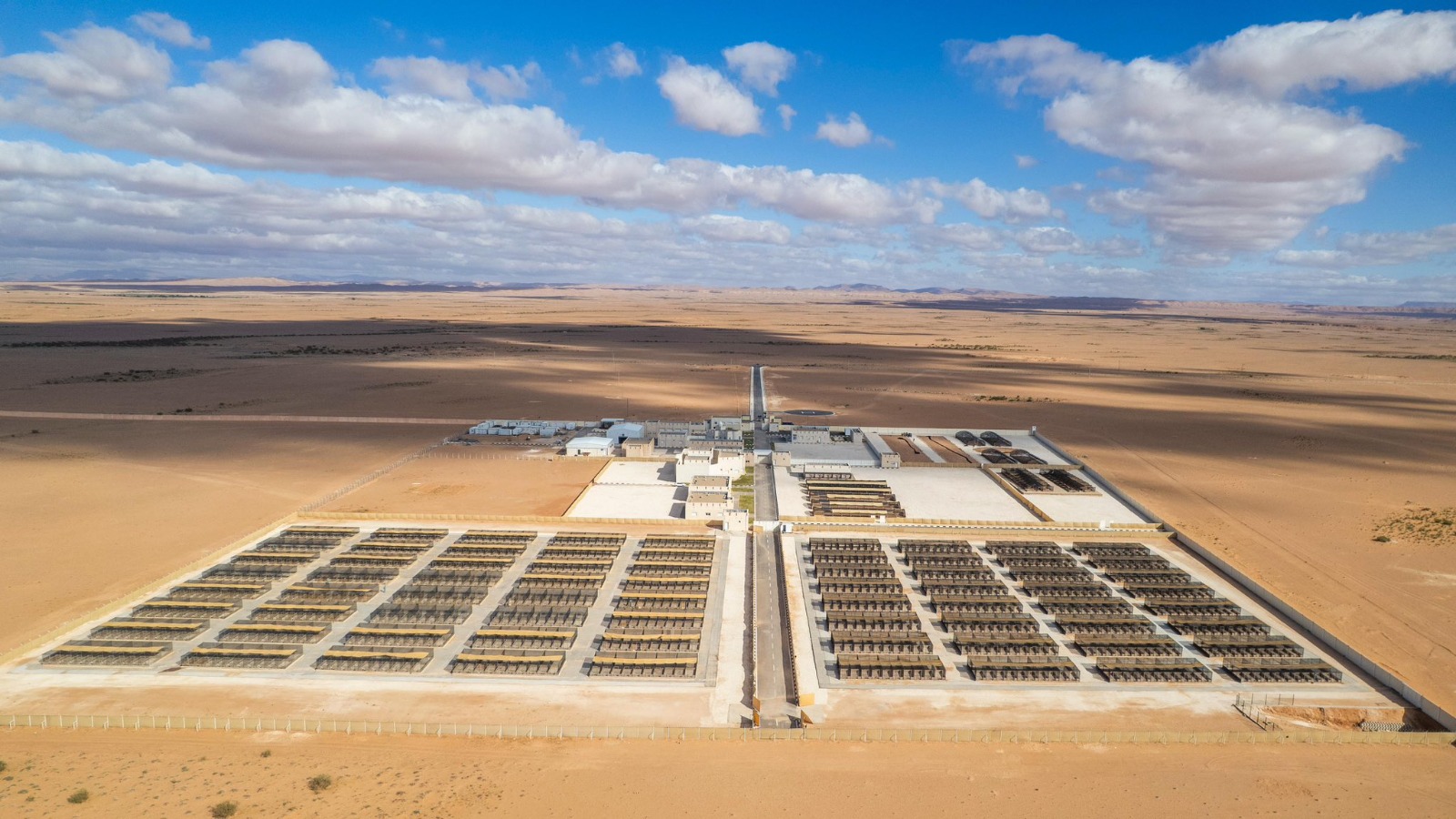 تدشين المركز القطري لتكاثر طيور الحبارى في الجزائر