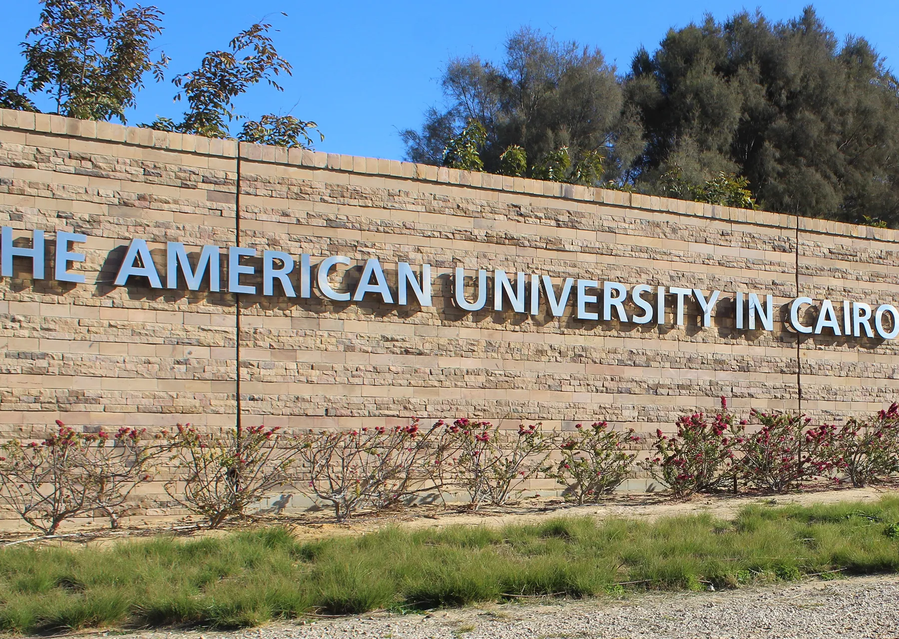 الجامعة الأمريكية بالقاهرة