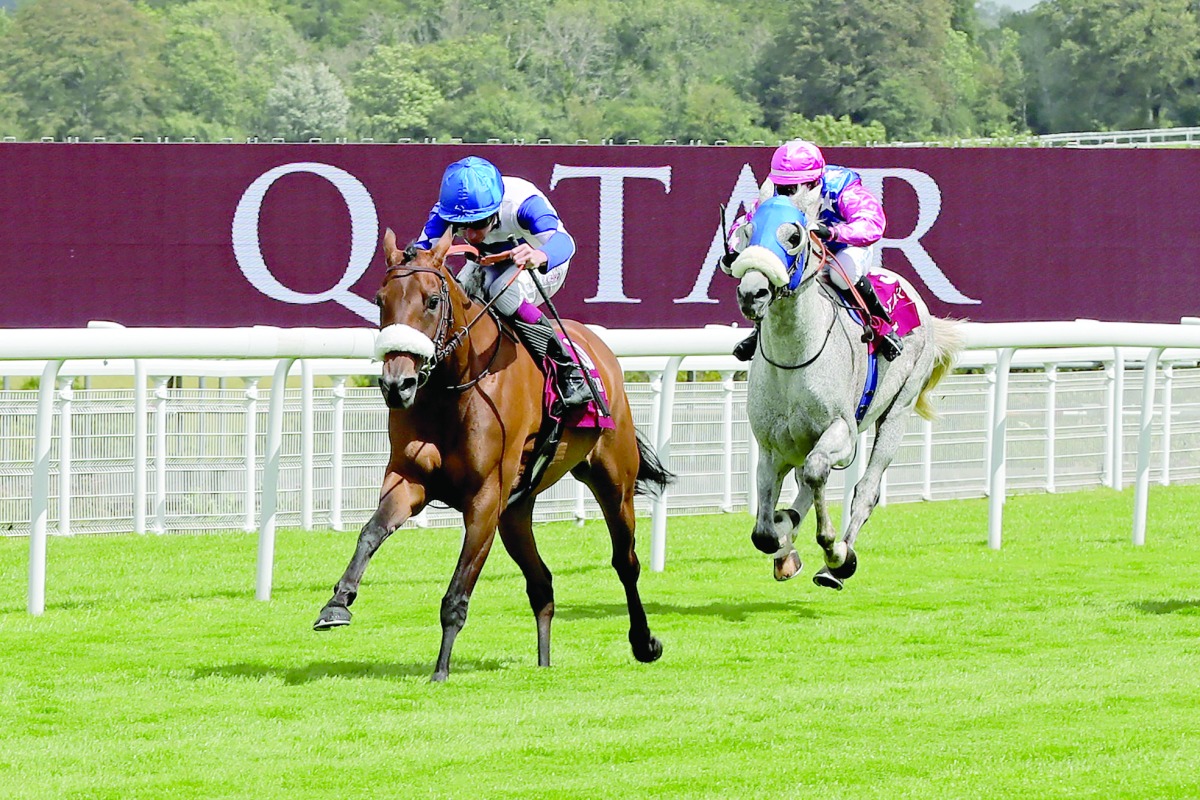 سباق نسائي عالمي في مهرجان قطر غودوود لدعم التعليم