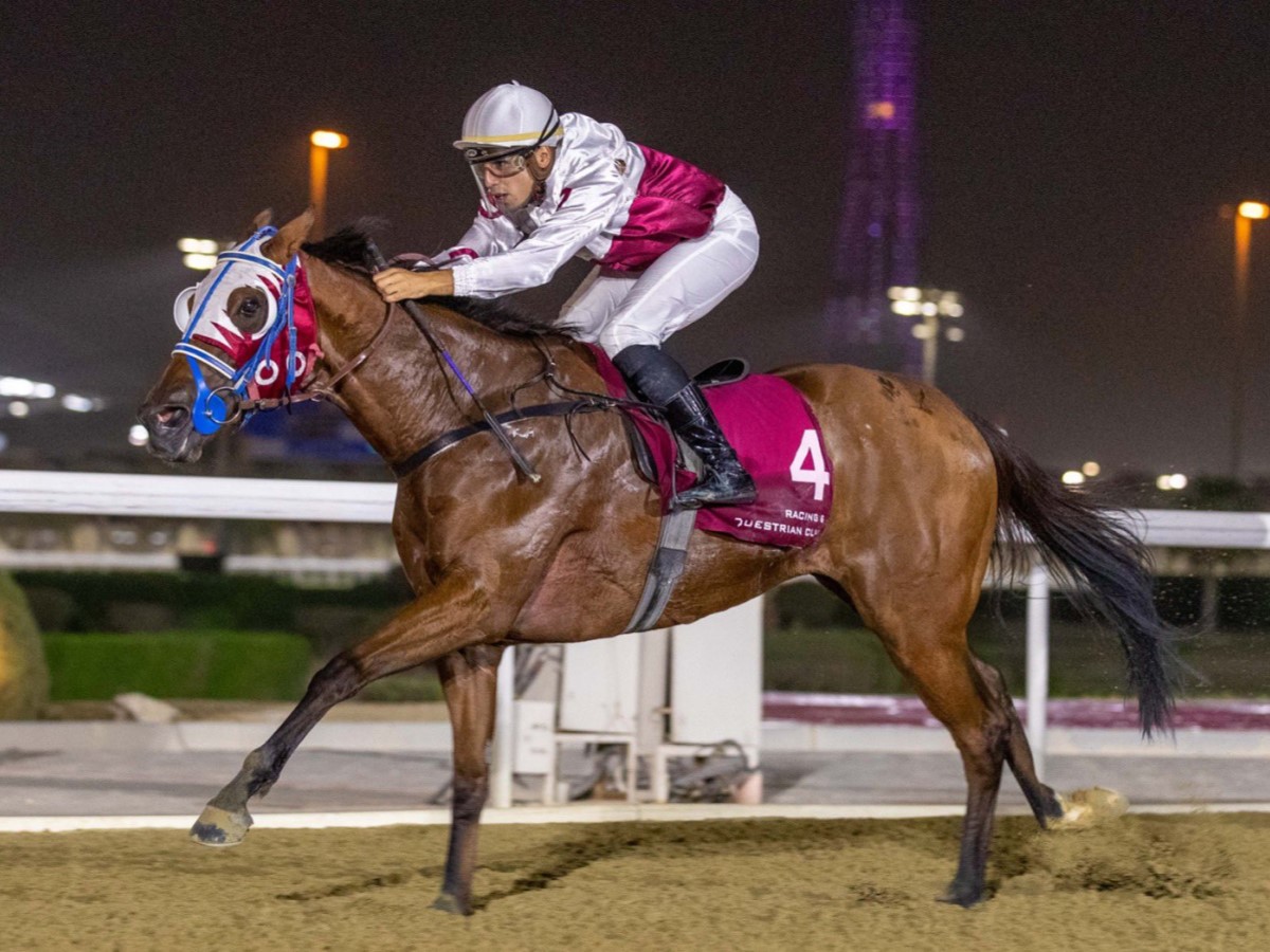 سباقات الخيل